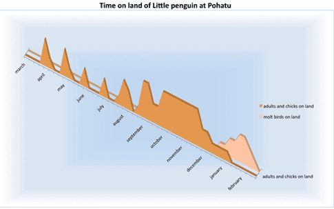 graph of penguin time on land